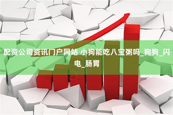 配资公司资讯门户网站 小狗能吃八宝粥吗_狗狗_闪电_肠胃